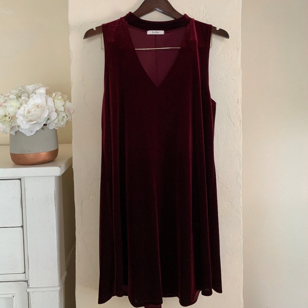 Sophie and Trey Burgundy Velvet Slip Dress